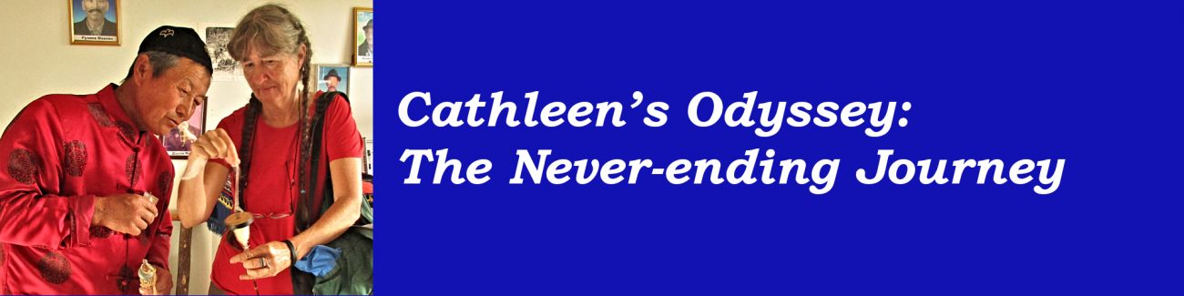 Workshop topic: Cathleen's Odyssey: The Never-ending Journey