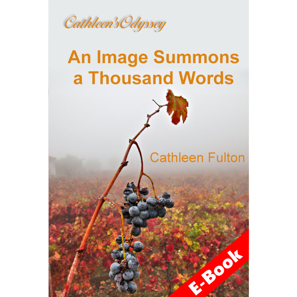 Book cover for Image Summons 1000 Words