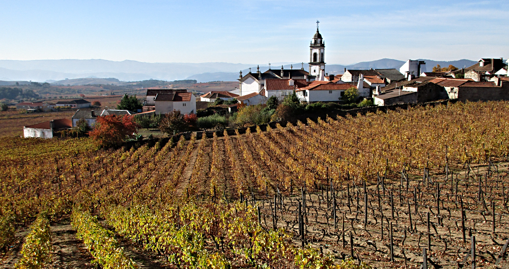 Walking in the Douro Valley of Portugal