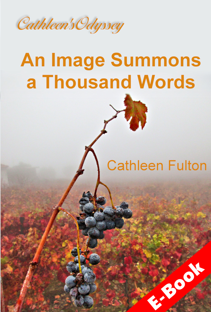 Book cover; Image Summons 1000 words