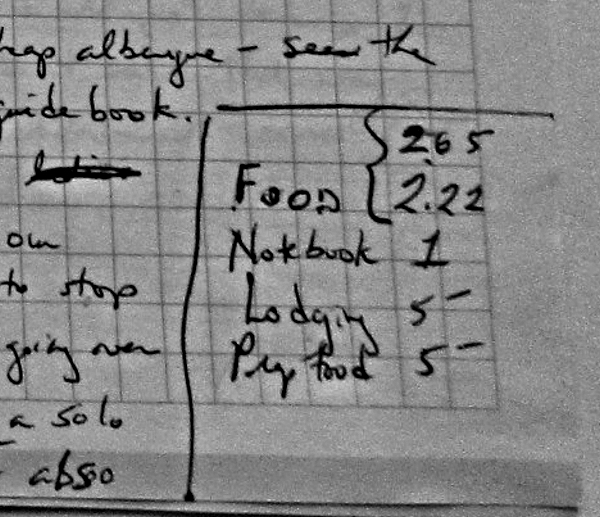 Recording Expenses in my daily Journal