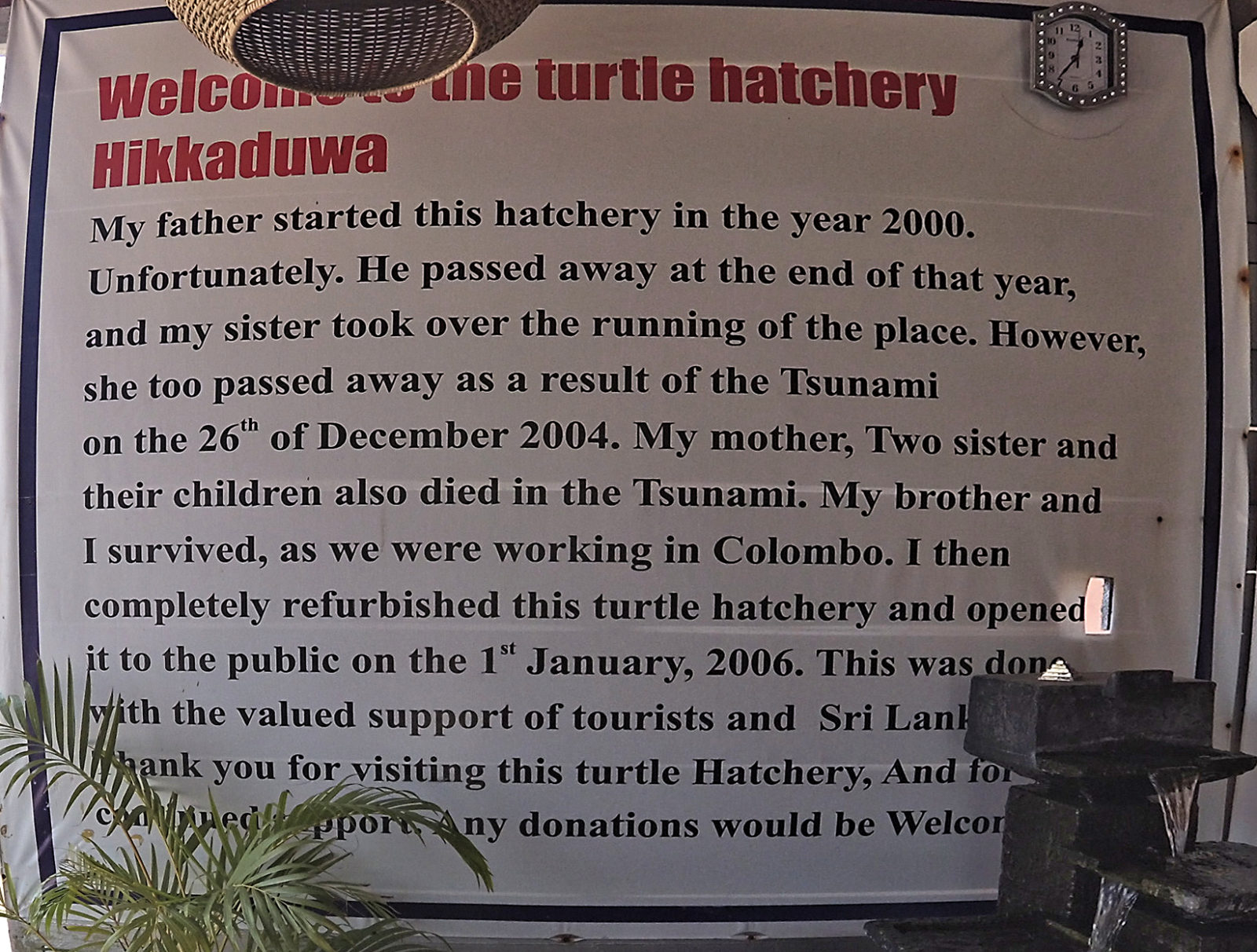 Turtle Hatchery in Hikkaduwa, Sri Lanka