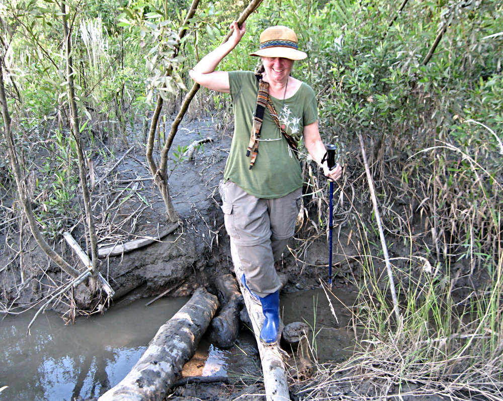 Hiking in the Peruvian Jungle near Manu