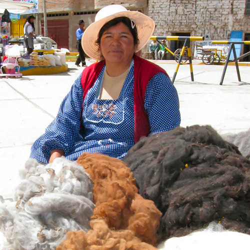 Acora Market Alpaca Sellers