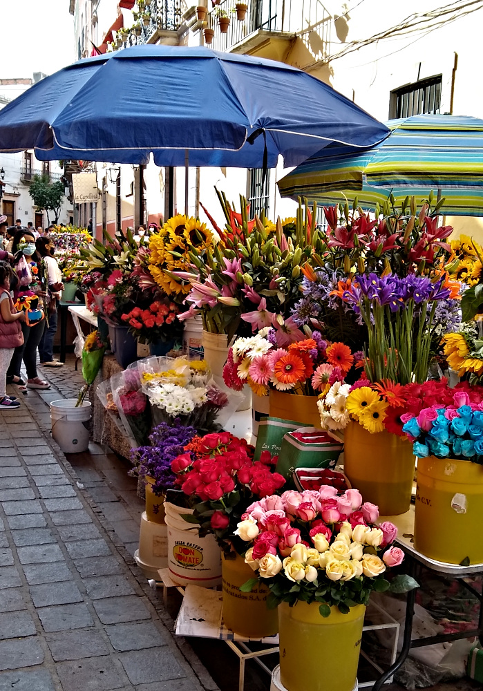 Flower Stalls in Guanajuato
