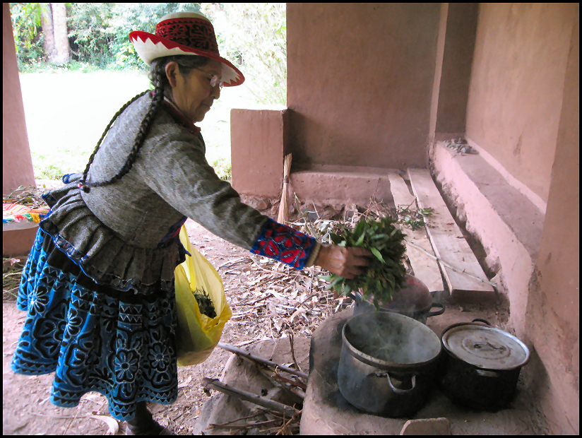 Quechua woman adding leaves to a natural dye pot.