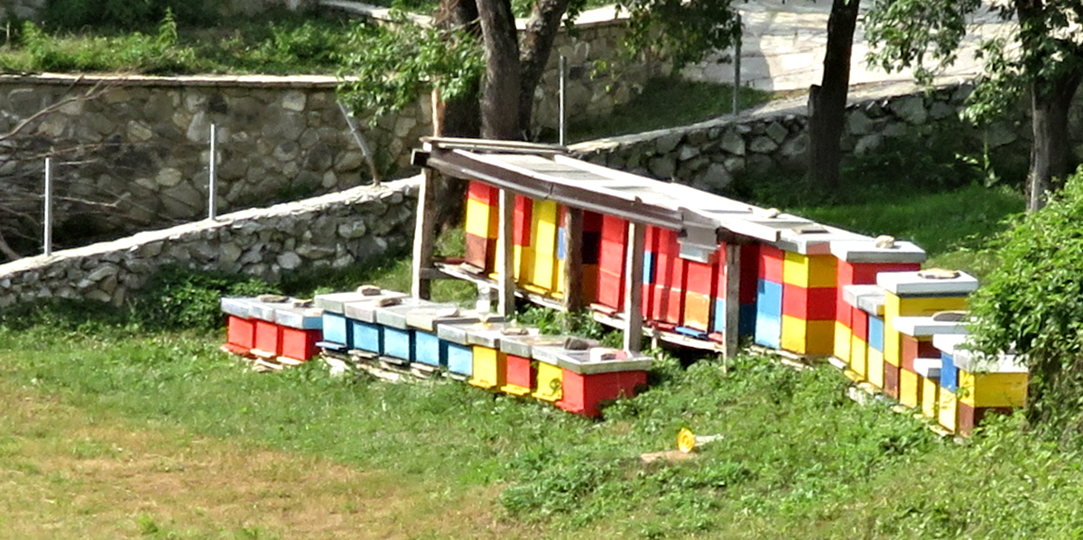 Colorful beehives in the village of Vusanje.