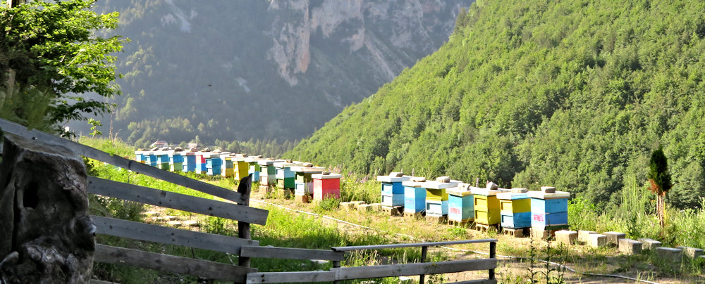 Behives in the Peaks of the Balkans