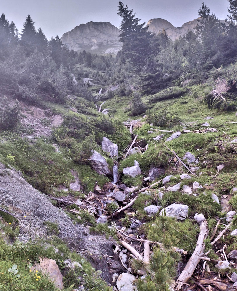 Trail covered with debris