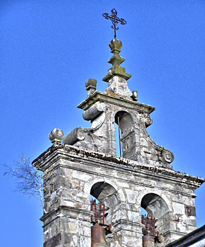 Old church steeple with a tree growing out of the side