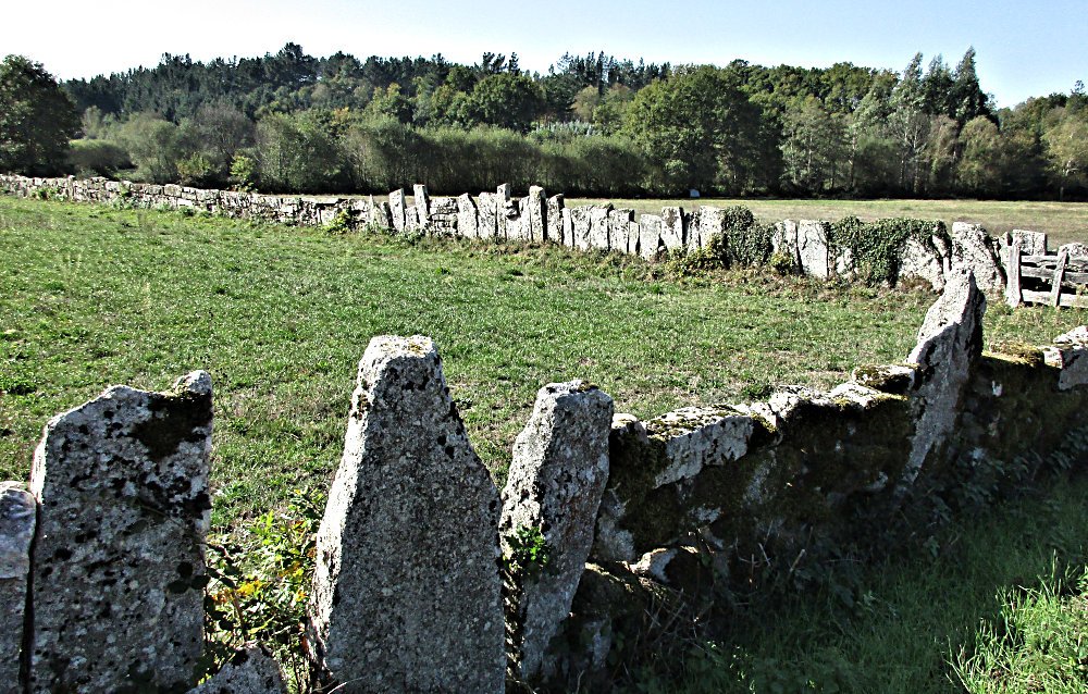 Wall in a field made of very large flat stones standing on end.