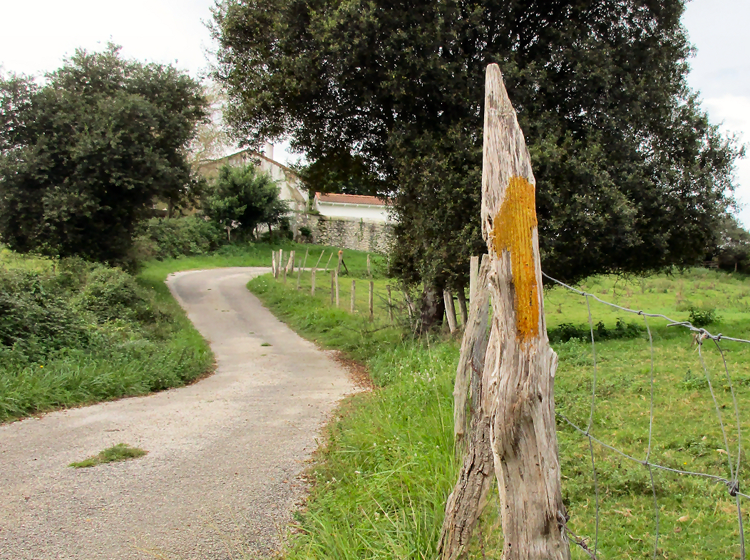 Skinny arrow on a signpost