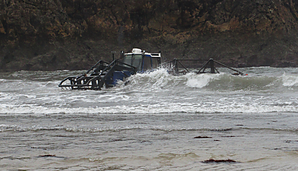 Water tractors harvesting seaweed for agar agar.