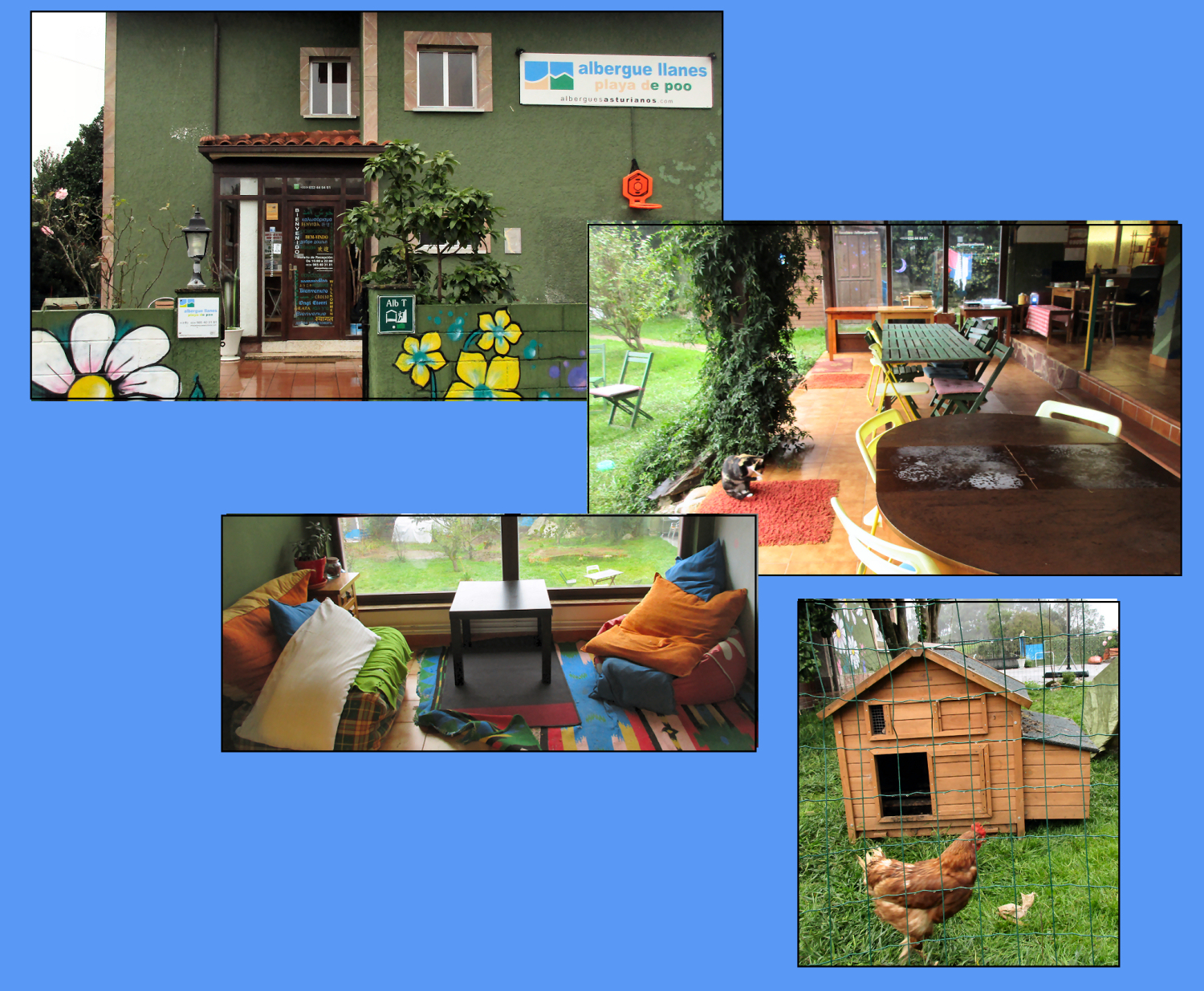 Images from Albergue Playa de Poo--chickens in the yard, comfortable rooms, nice patio