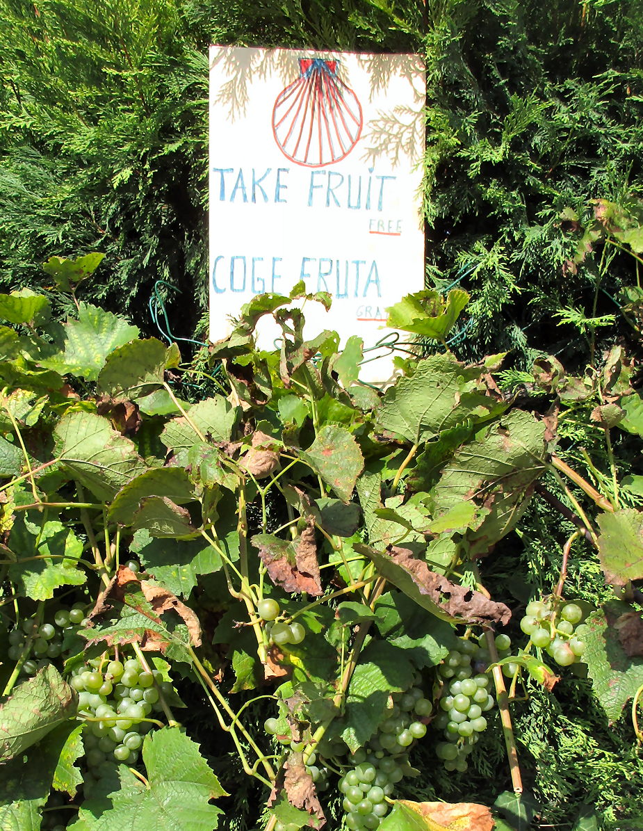 Sign for pilgrims: "Free fruit"