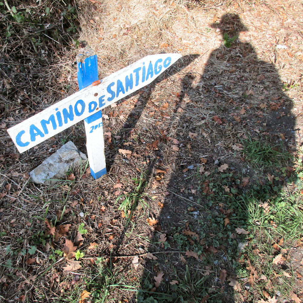 My shadow in the early morning next to a Camino direction sign