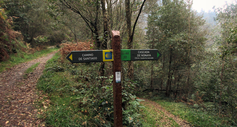 Direction signs in the forest on the camino