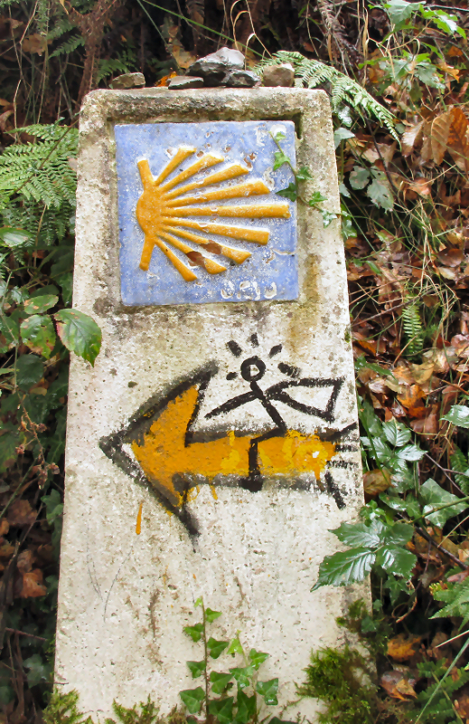 A post with a yellow arrow and a camino shell on it.