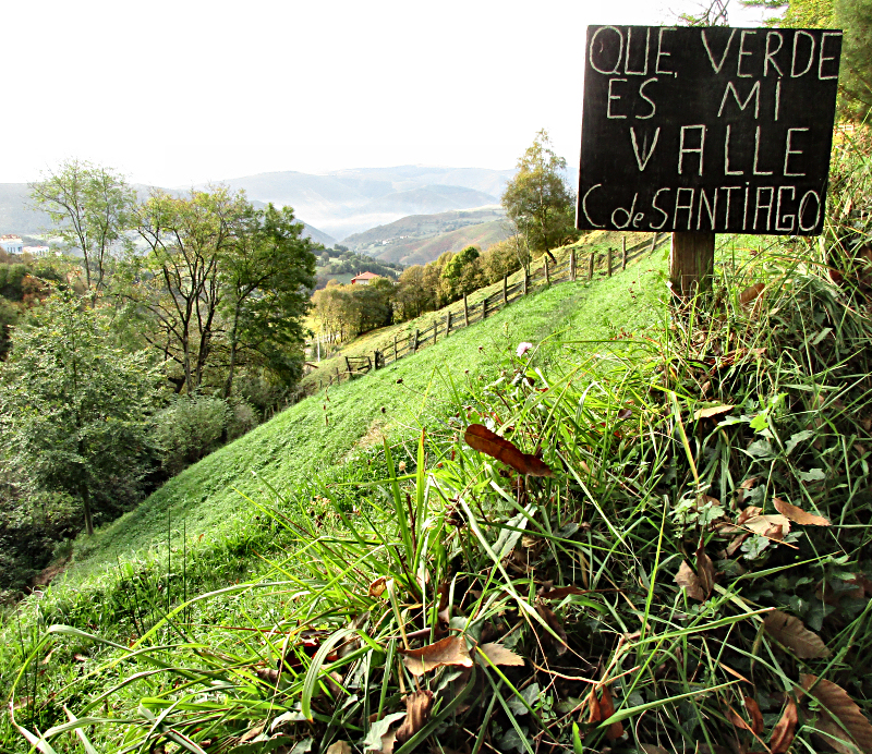 The valley near Tineo