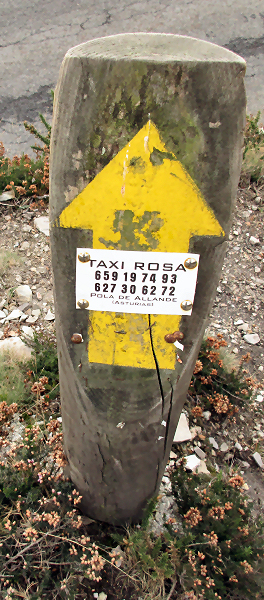 Yellow arrow pointing straight ahead with the phone number for a taxi company