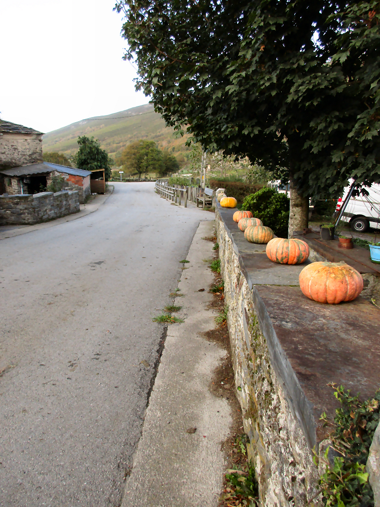 Pumpkins lined up on a stone wall