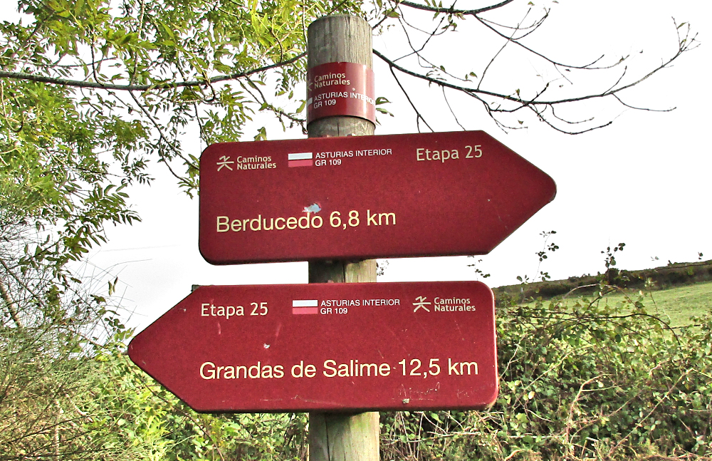 Direction and distance signs for Grandes de Salime and Berducedo