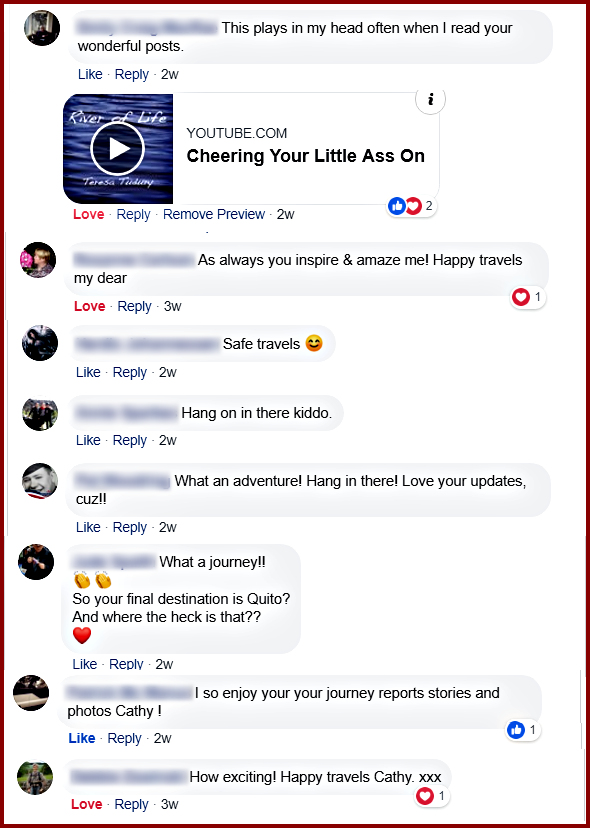 Comments from Facebook friends, cheering me on.