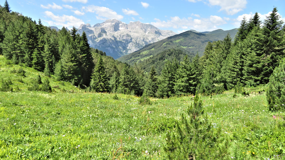 Meadow near Cereme, Albania