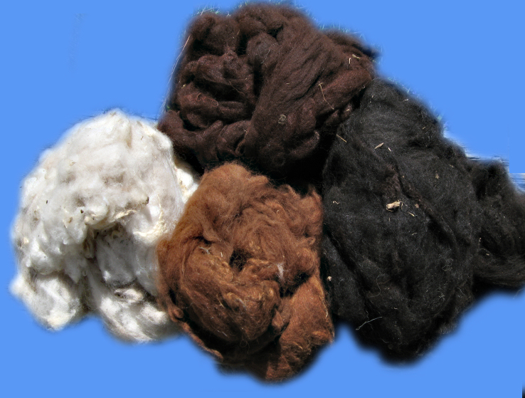 4 colores of raw alpaca fiber