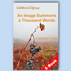 Image Summons 1000 Words book cover