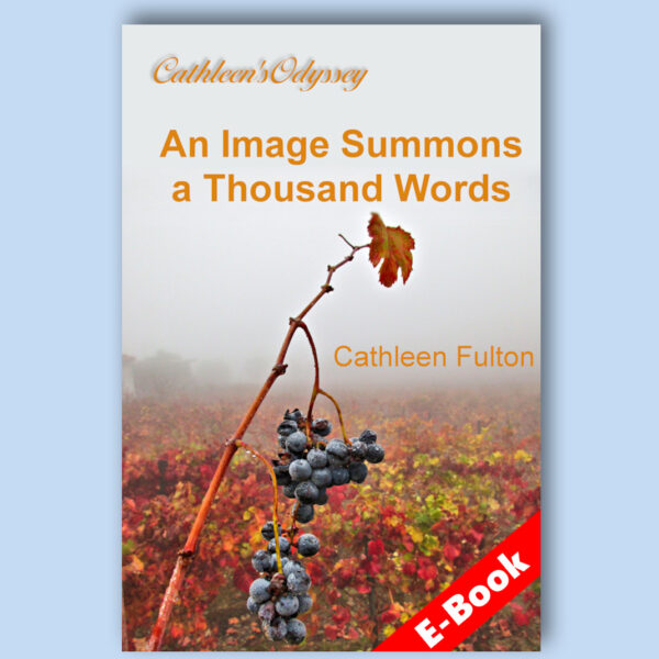 Image Summons 1000 Words book cover