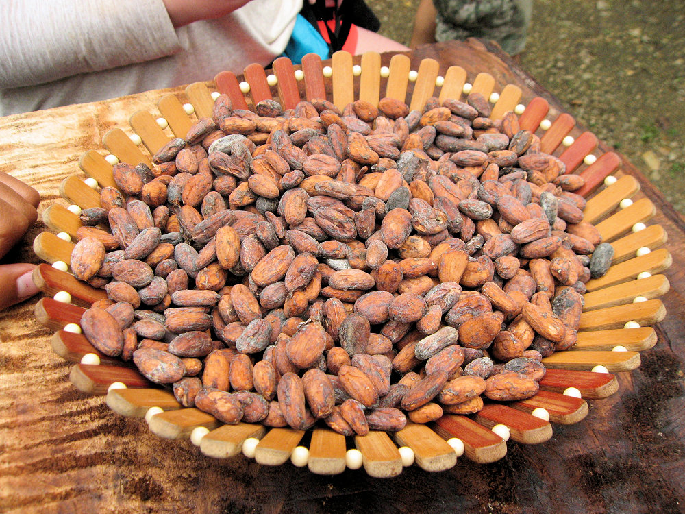 Fermented Cacao Beans