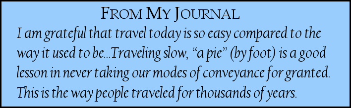 Camino Journal Day 4