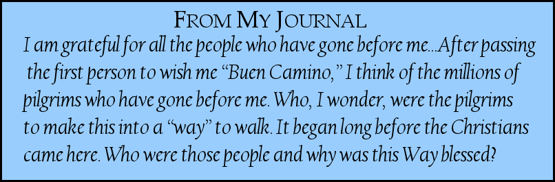 Camino Journal Day 5
