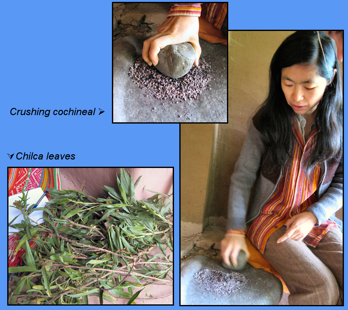 Preparing cochineal for use in Natural Dyeing