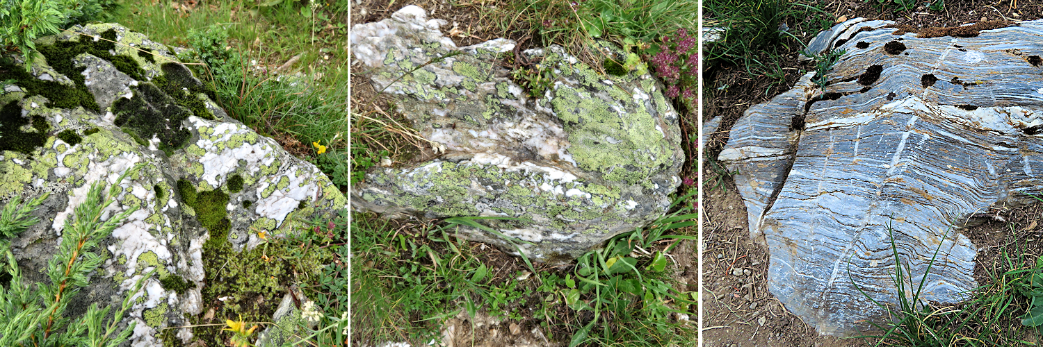 Three images of interesting rocks and lichens