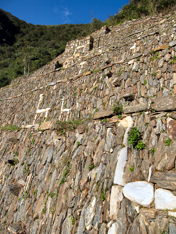 Llama terraces at Choquequirao