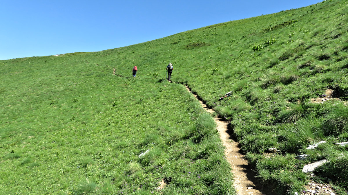 Traversing a hillside in a meadow between Doberdol and Milishevc