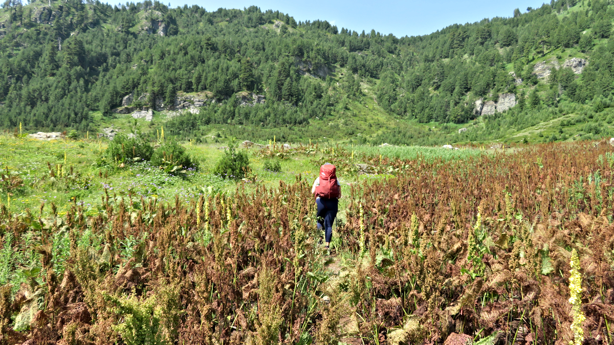 Rebecca walking through the meadow that was full of horseflies