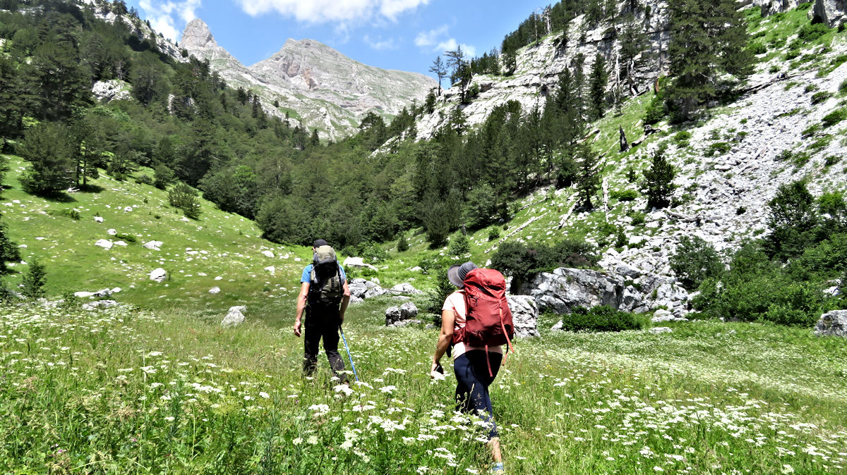 Walking through Alpine Meadow