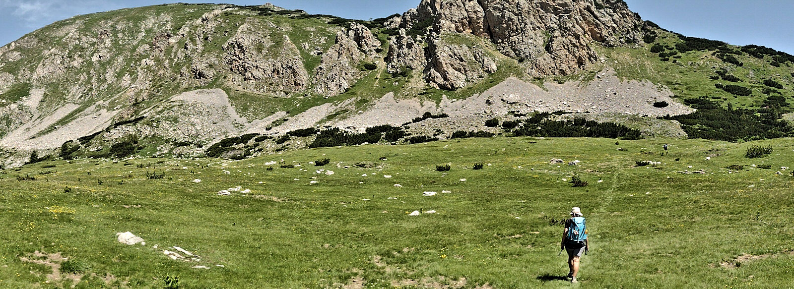 Cathy walking across a broad meadow