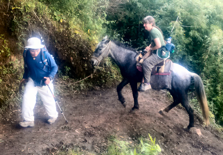 Cathy on horseback for part of the uphill trail to Choquequirao.