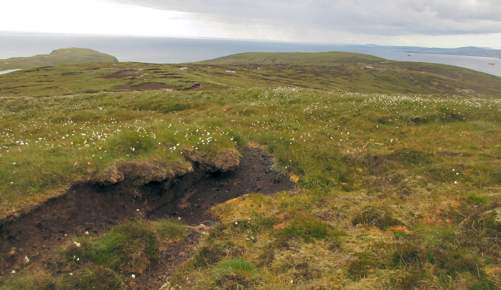 Peat Bog on Bressay Island in the Shetland Islands