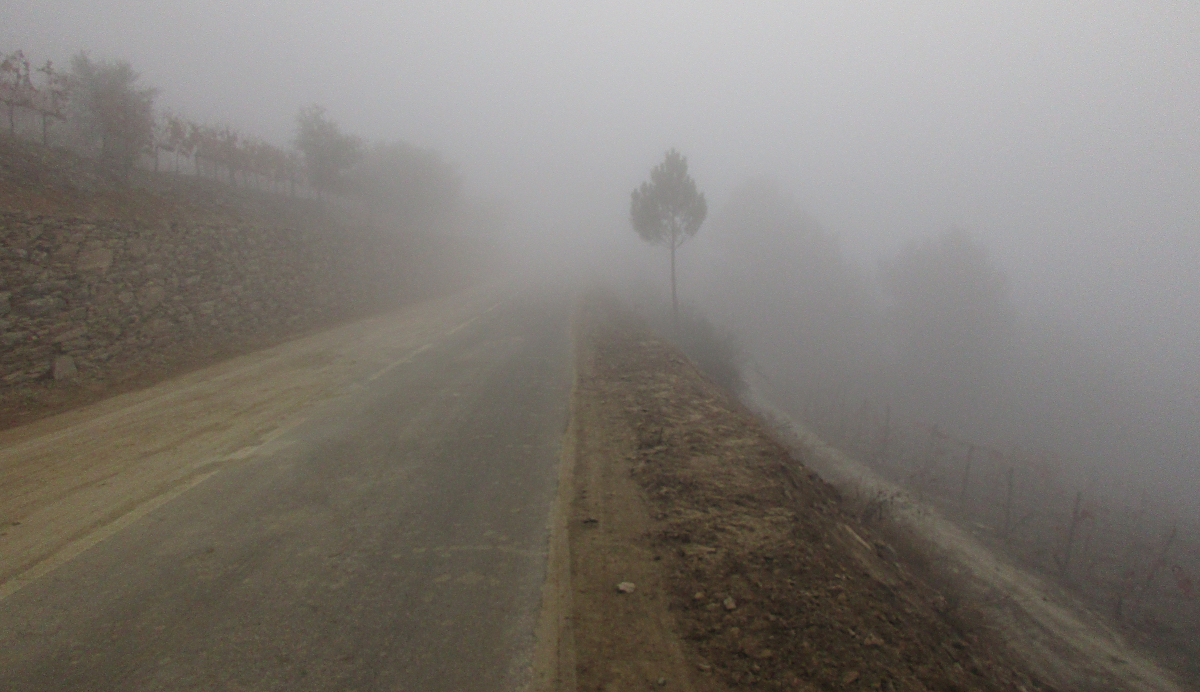 Very foggy day in the Douro Valley, Portugal