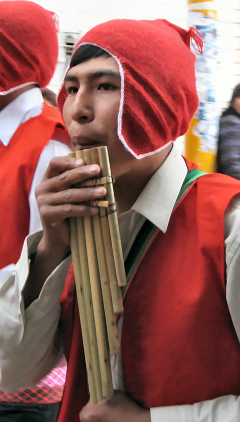 Piper in Candelaria Parade