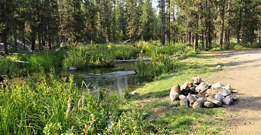 We decided to spend a week dispersed-camping in the Deschutes National Forest