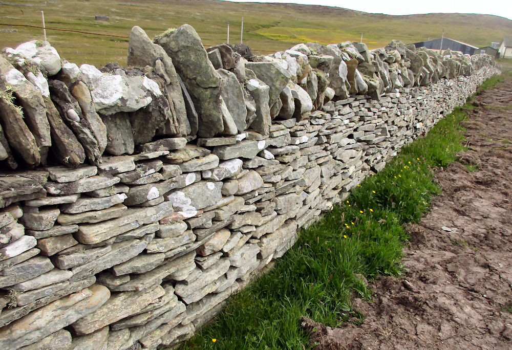 Dry stone wall on Bressay Island in the Shetland Islands