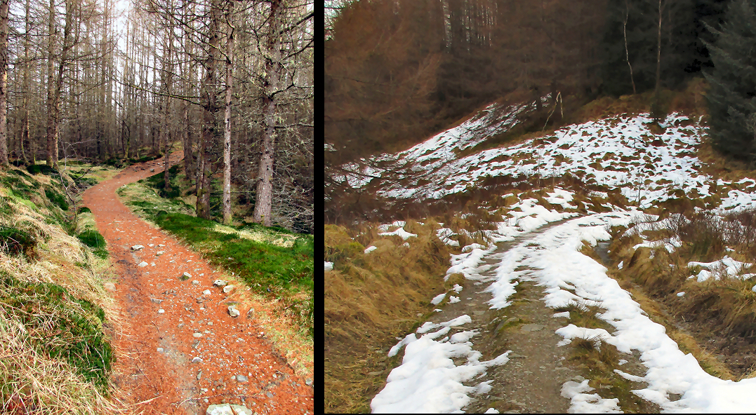 Part of the West Highland way--some covered in icy snow
