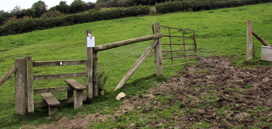 A stile and a gate side by side