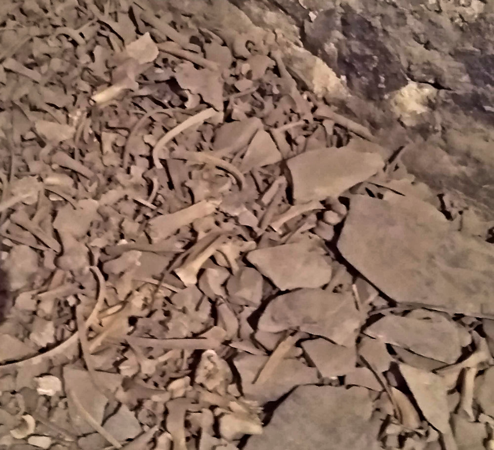 Pile of animal bones on the floor of a Svaneti Tower